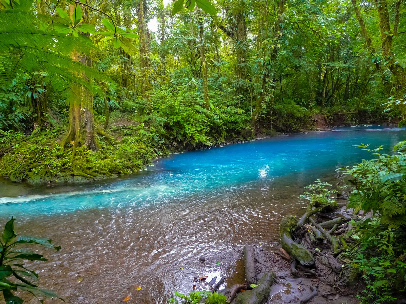 Rio Celeste, Tenorio volcano national park, Costa Rica