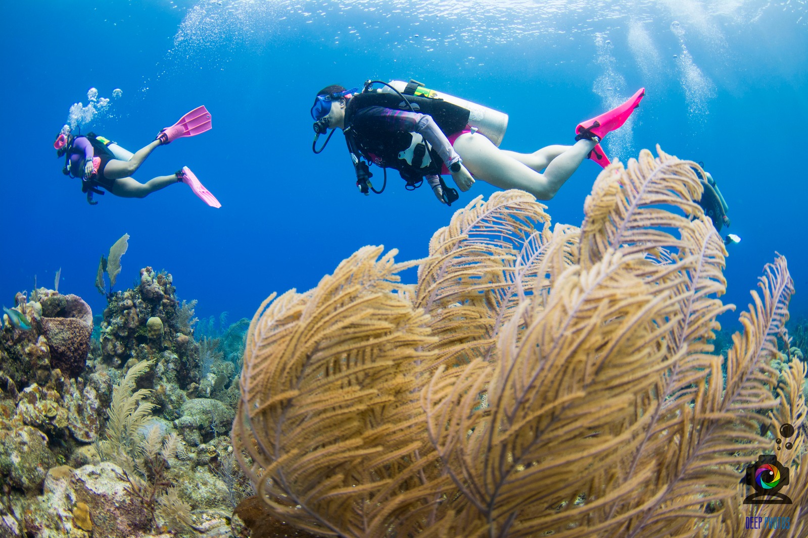 Roatan CoEd August 30- September 6, 2025